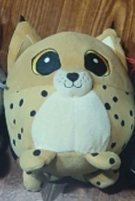 Peluches Bando dos bosques