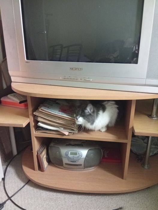 Полка под телевизор