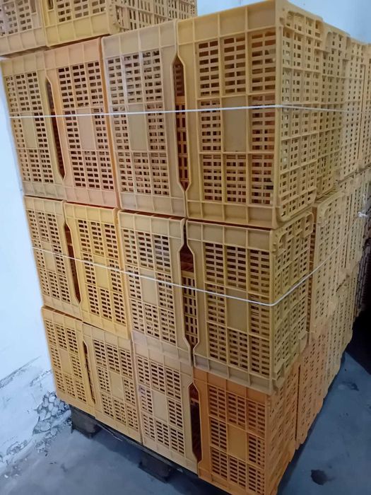 Caixas de plástico em muito bom estado. Temos caixas mais baratas