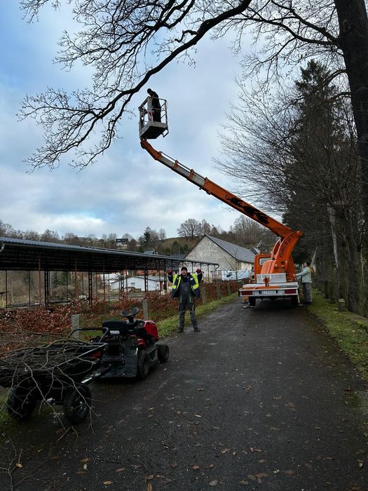 Odśnieżanie I wycinka drzew
