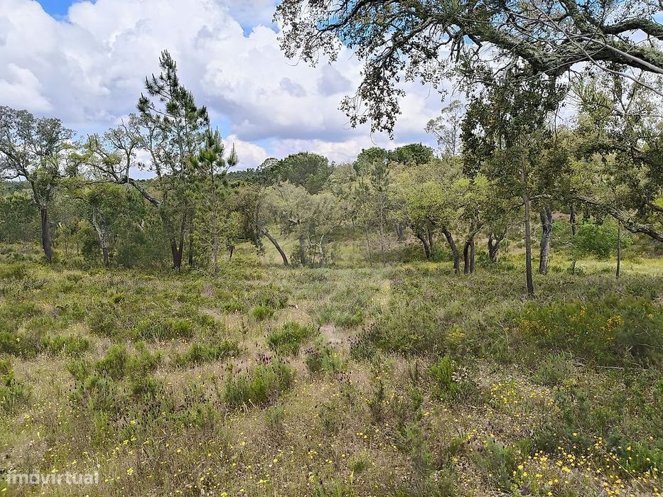 Terreno  para venda