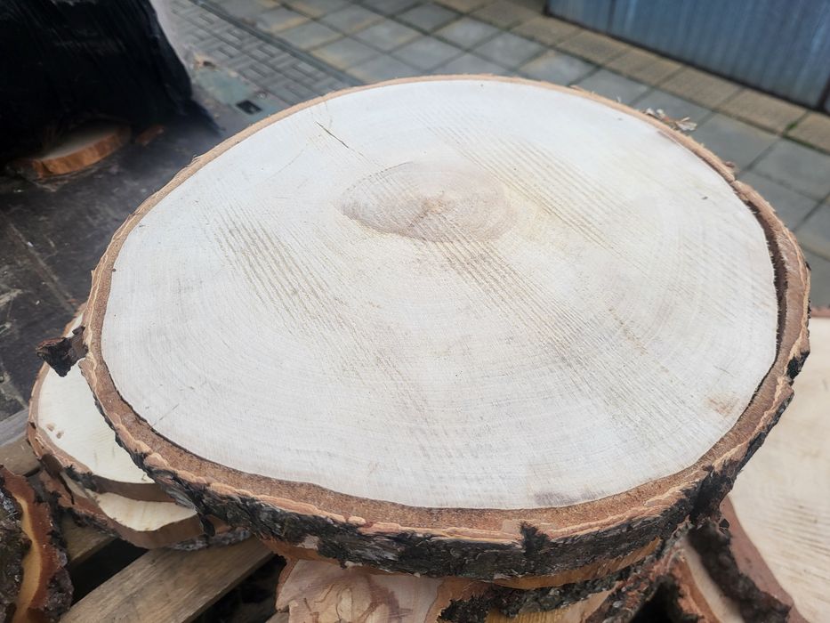 Plastry drzewa PROMOCJA ,brzozowe,podkładka ,stolik