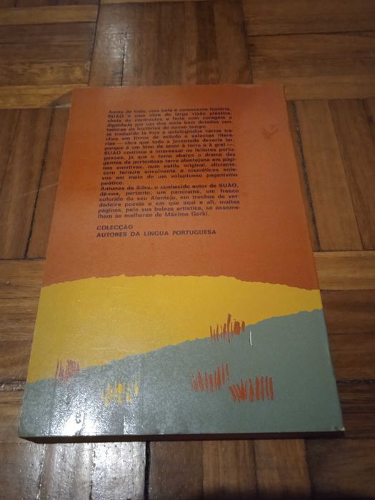 Suão - Antunes da Silva