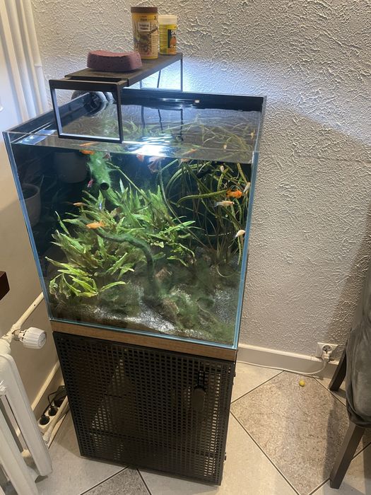 Zestaw akwarystyczny - kostka 50x50x50 125 l