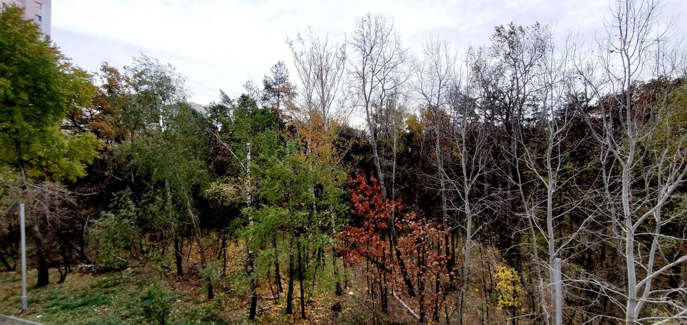 Котедж (будинок) з двома терасами біля озера (Крушинка, Зелений Бір)