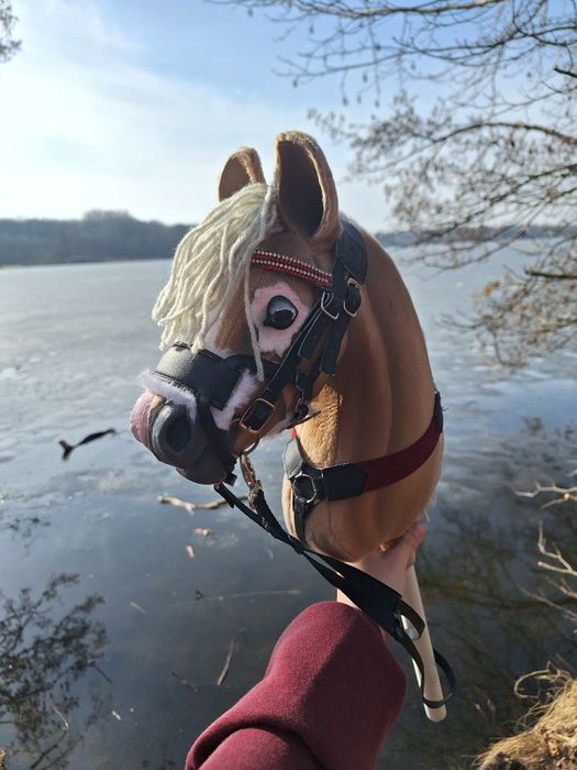 Hobby horse mes propozycje cenowe