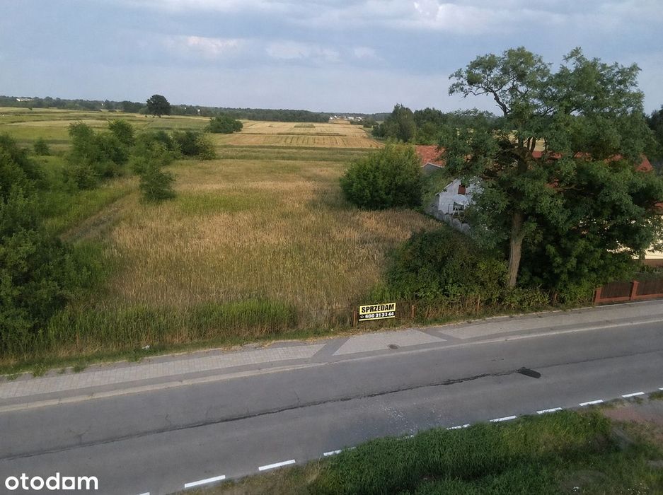 Zdjęcie 2