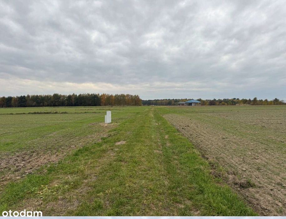 Działka niezabudowana - Gorzędów, gm. Kamieńsk