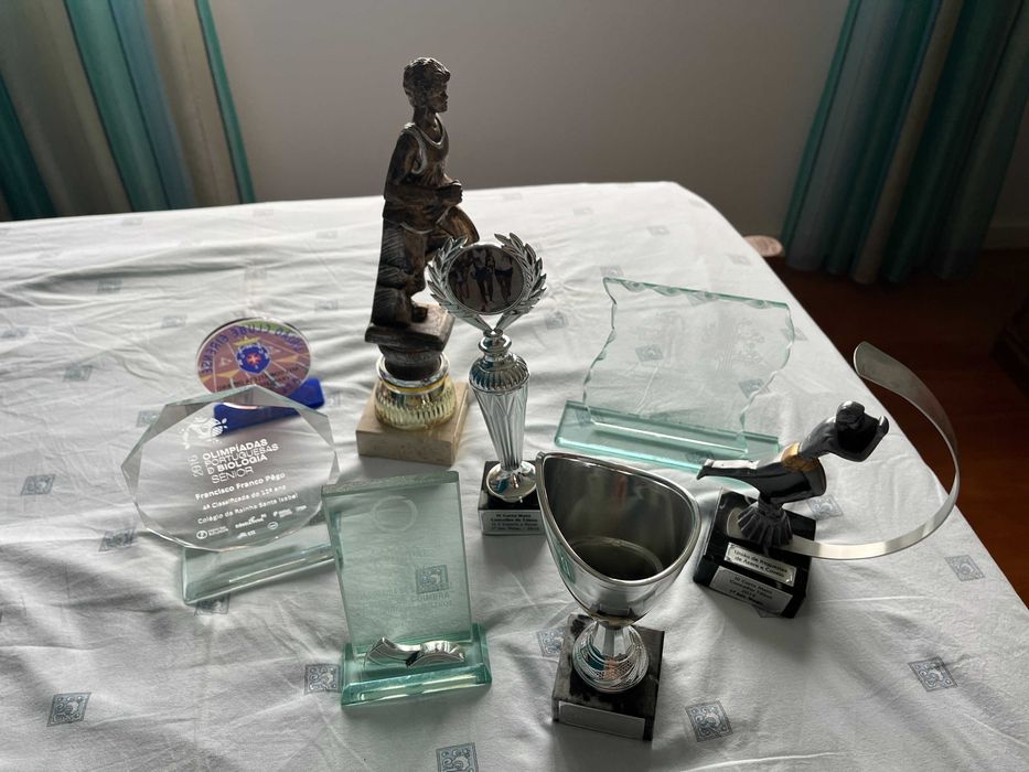 Troféus diversos - como novos