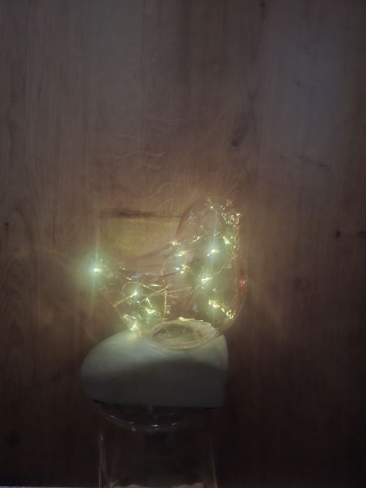 Ozdoba świecącą,  ptak