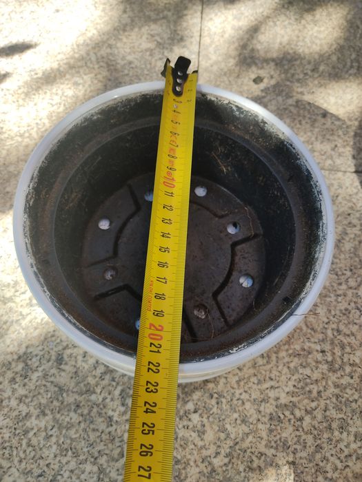 Vaso para bonzai