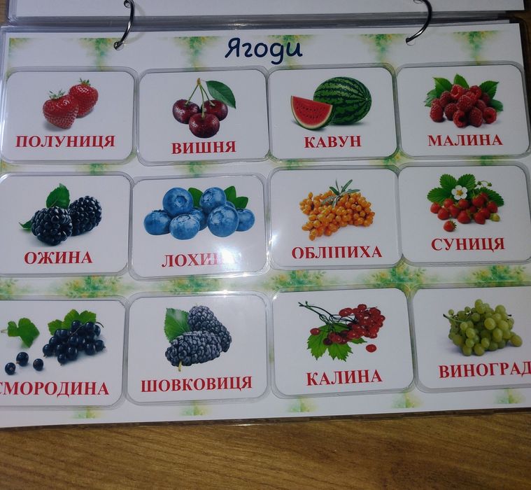 Картки Домана, карточки Домана, картки Домана, карточки домена