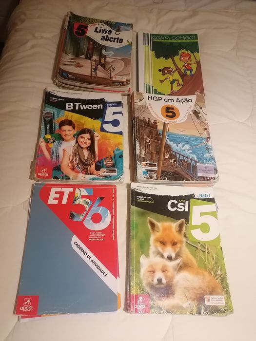 Manuais do 5 ano