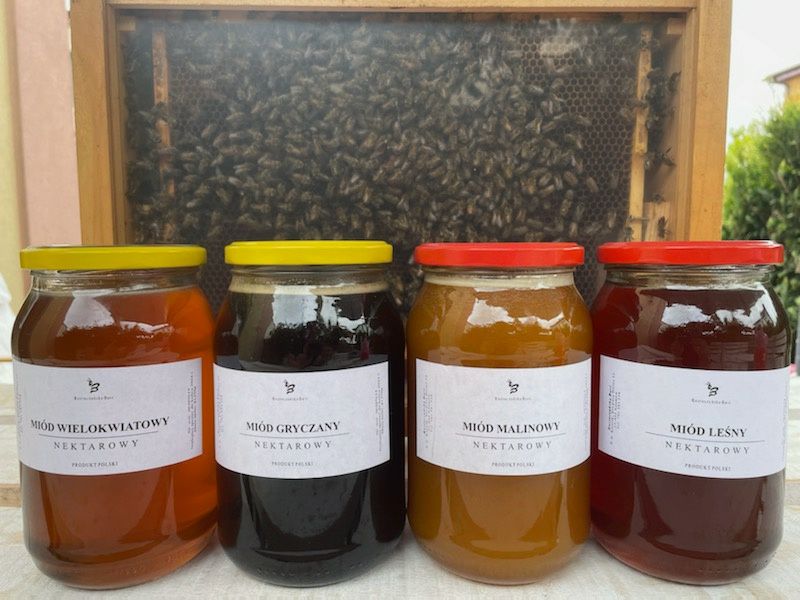 Roztoczańska Barć miód z własnej pasieki