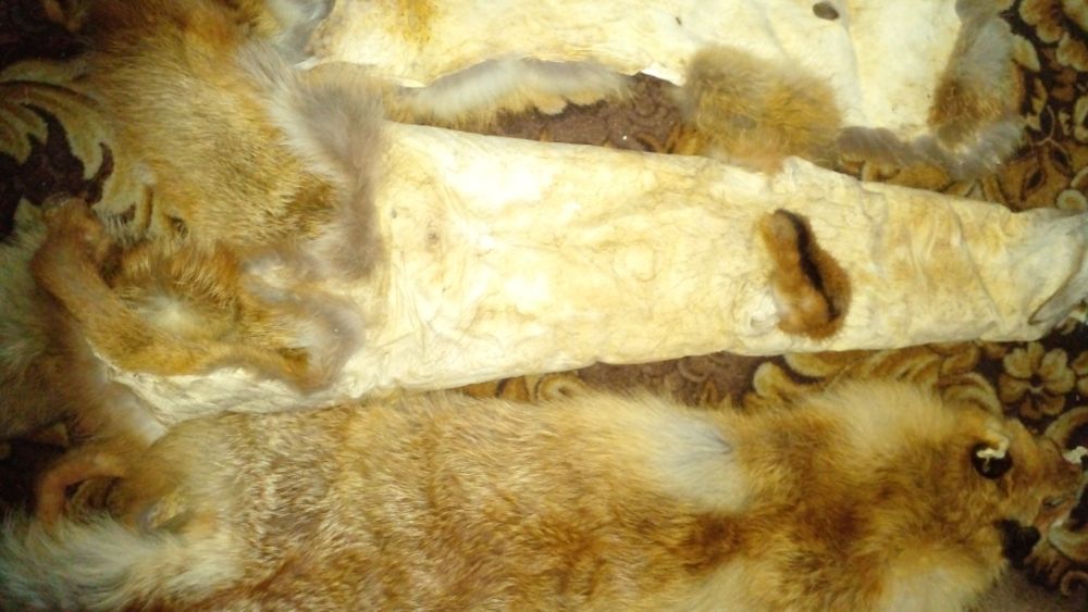 Мех для пошиву.чюлок.