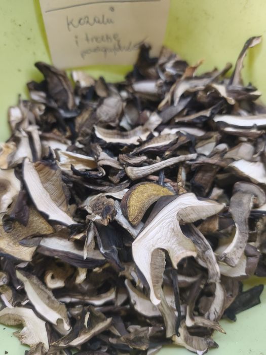 Grzyby suszone kozaki i podgrzybki 160 g