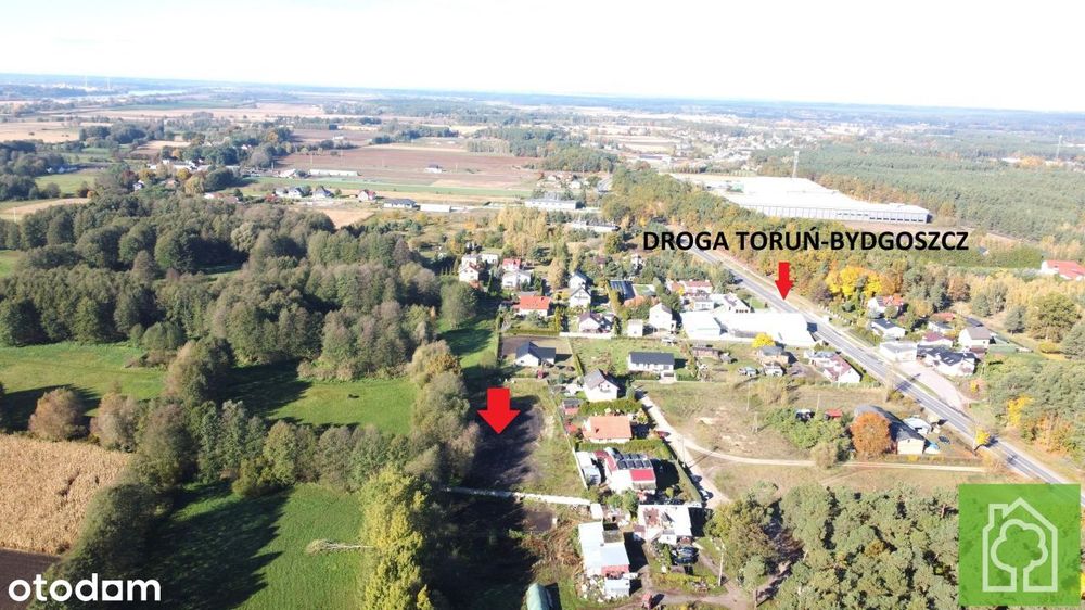 Działka, Pędzewo