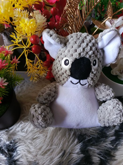 Miś koala pluszak maskotka