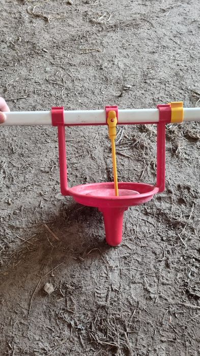 Lubing Linia pojenia dla kaczek, gesi