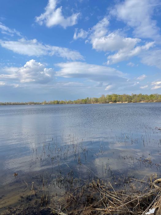 Ексклюзивні ділянки на березі Десенки (затока Доманя) — Деснянський р-н. Троєщина