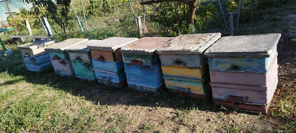 Вулики 12-ти рамочні Дадан 300+145 з екструдованого пінополістиролу