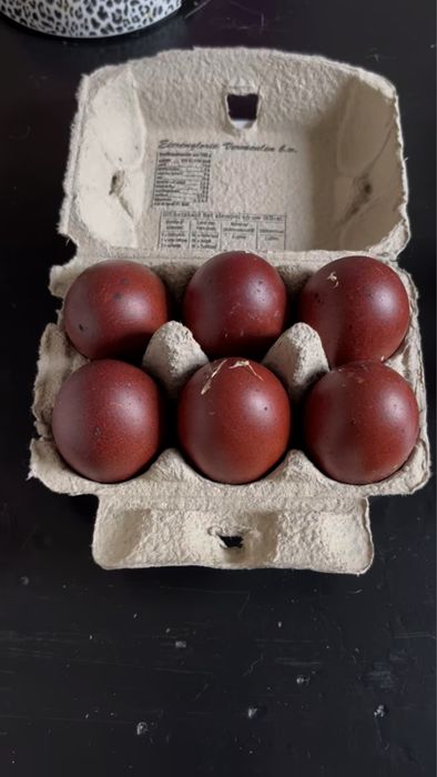 Marans Biały Jaja Legowe