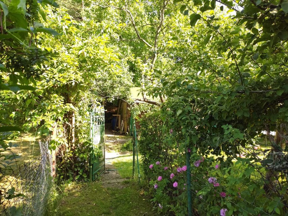Działka ROD „Dolinka” z ogromnym potencjałem – Olsztyn, ul. Synów Pułku - Widok 4