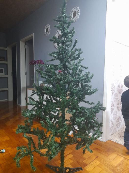 Árvores de natal usadas