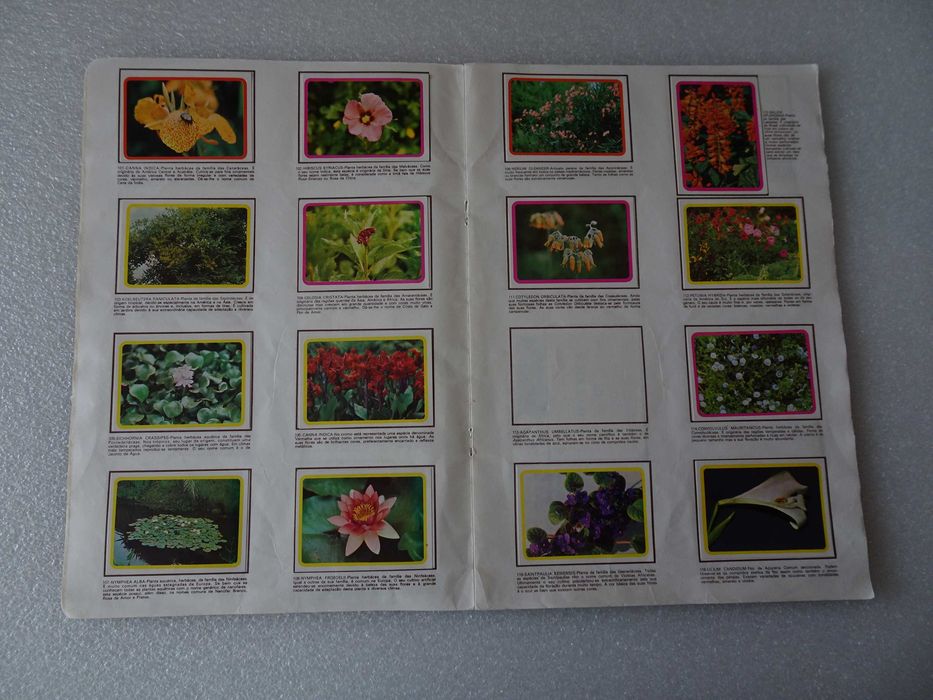 Caderneta de cromos incompleta Botânica, Plantas, Flores e Frutos (f46