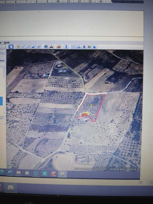 Terreno com olival  tradicional  14000 m2 e possibilidade de construção de  moradia com 140 m2