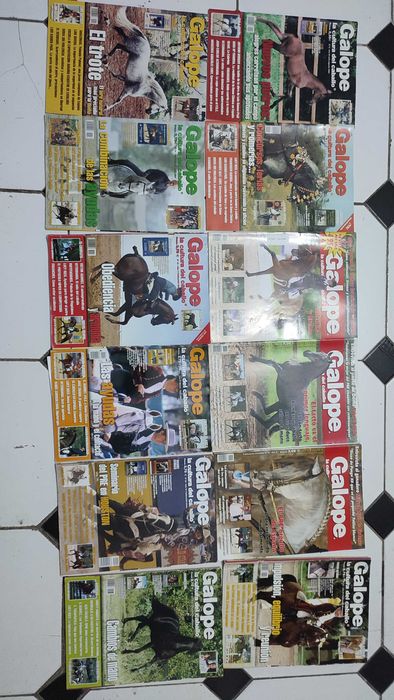 Lote 34 Revistas Galope