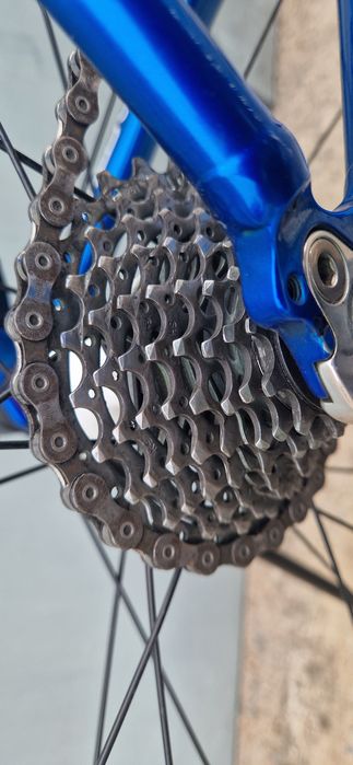 Kolarka Scott szosa