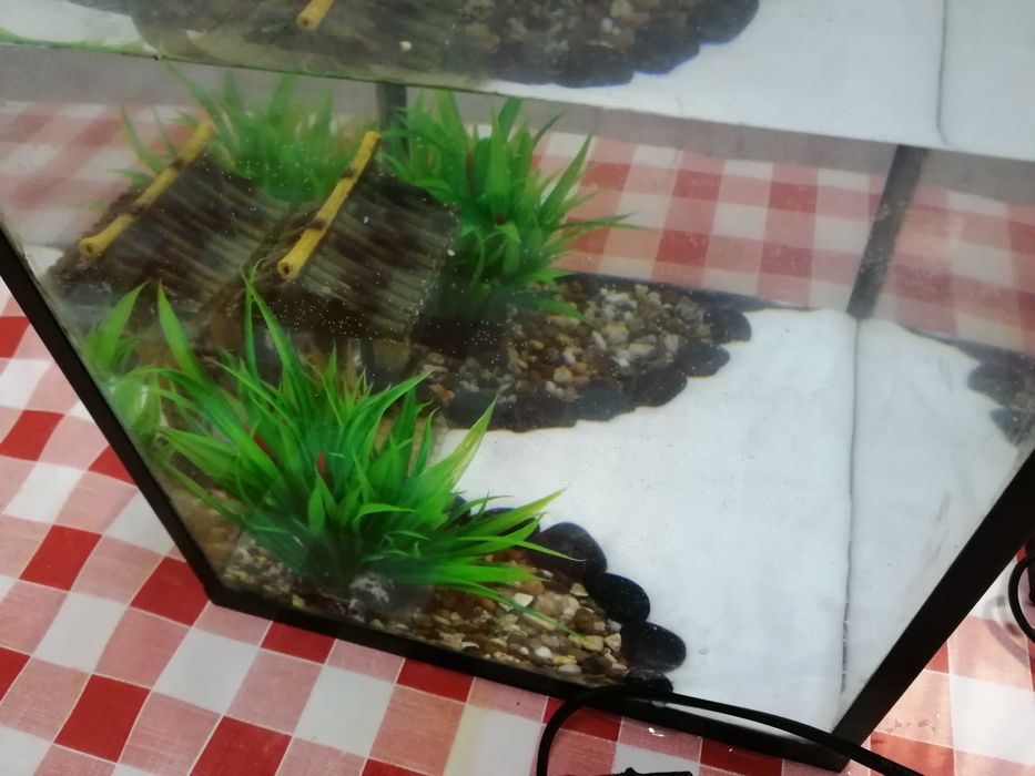 Aquário mais acessórios