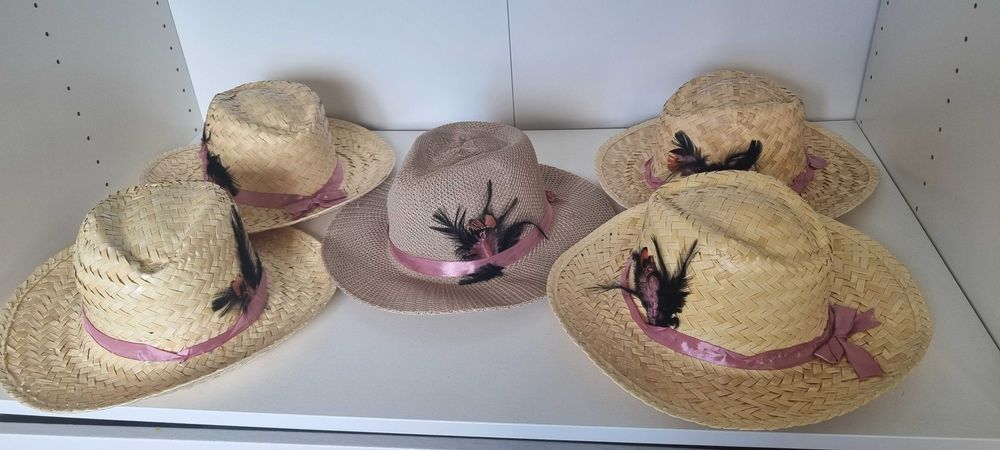 Conjunto de chapéus temáticos