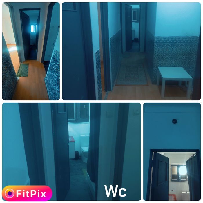 Q1/ individual Fogueteiro