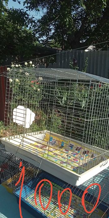 Б.у. клкткиЦЕНЫНАФОТО!!!