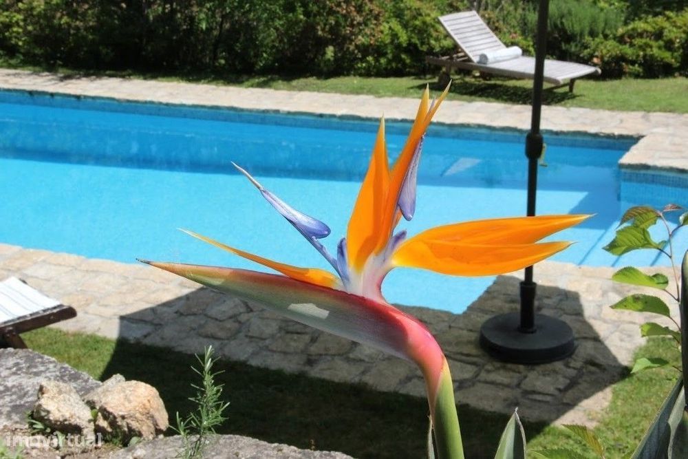 Casa Rural – Sever do Vouga