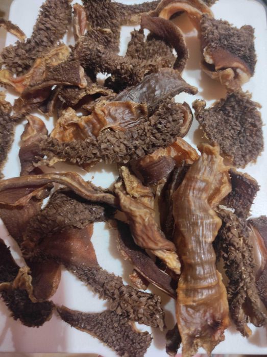 Смаколики для котиків і песиків