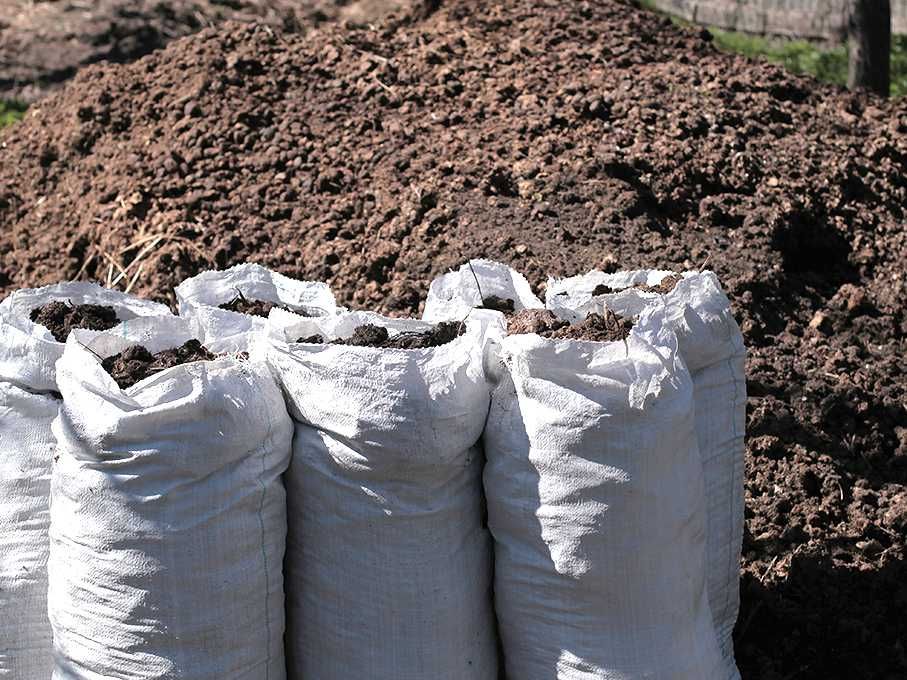 Конский навоз без опилок, не подстилка - лучшее удобрение.