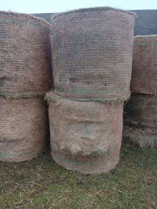 Siano, słoma, sianokiszonka