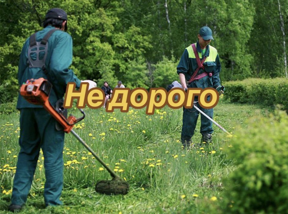 Покіс трави не дорого телефонуйте