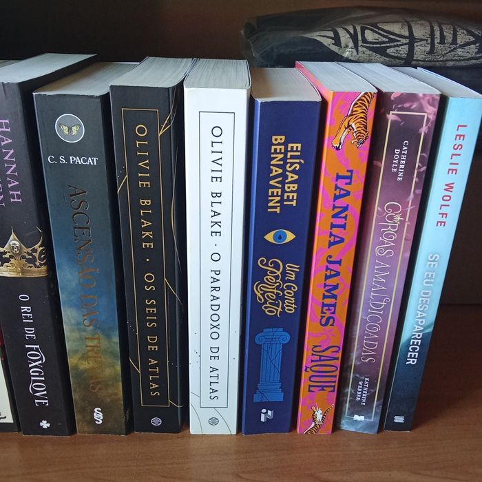 Livros Vários  temas Romance Ficção Contemporânea  Fantasia