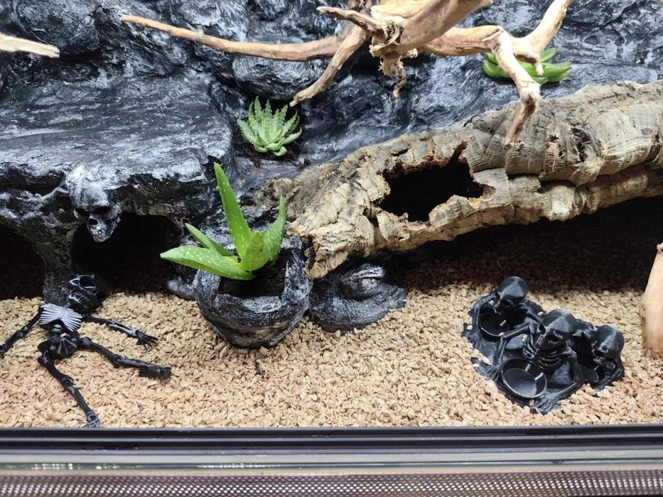 Terrarium stepowe - 100x40x40