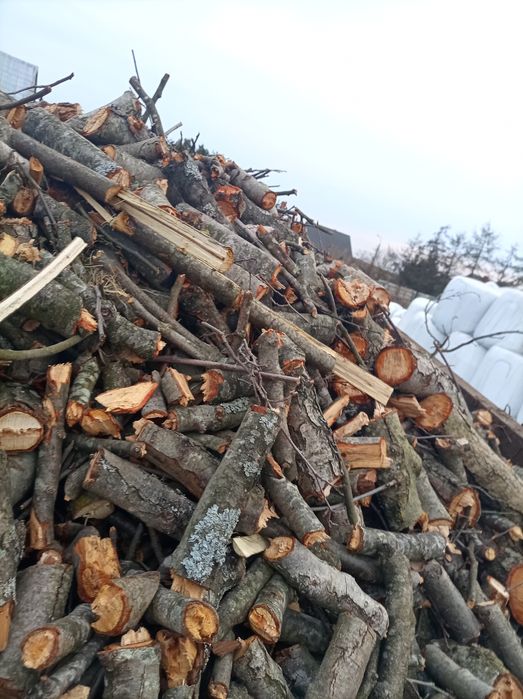 Drewno opałowe gotowe do palenia Olszyna