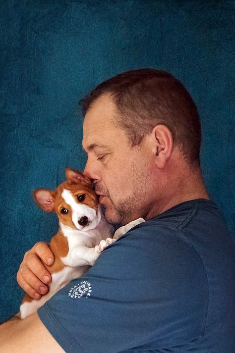 Цуценята  басенджі