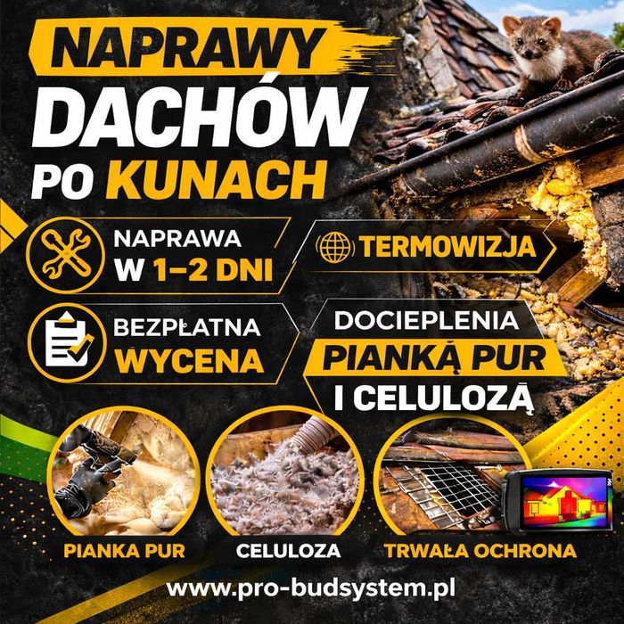 Docieplanie Pianką PUR Ocieplenie Naprawa poddasza Izolacja Celulozą