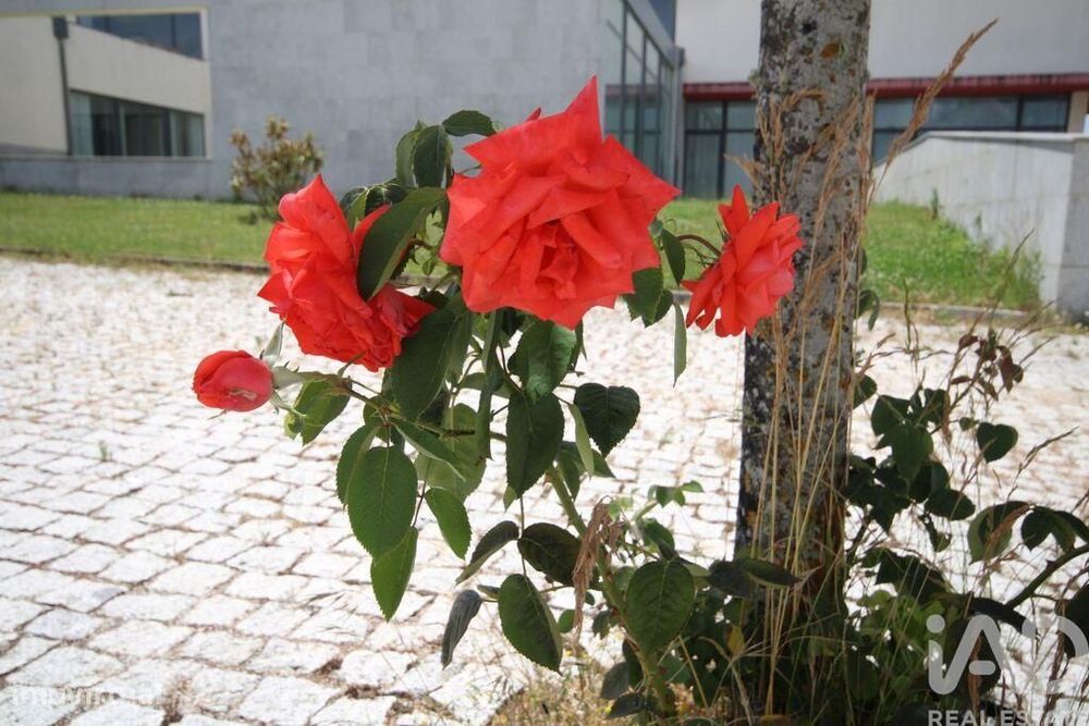 Terreno em Almeida de 550,00 m2