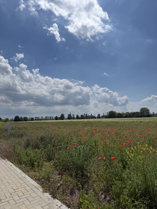 Działka w Opalenicy – pohled 4