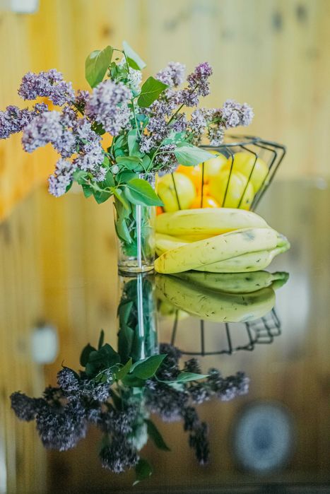 Zacisze leśne Julianka