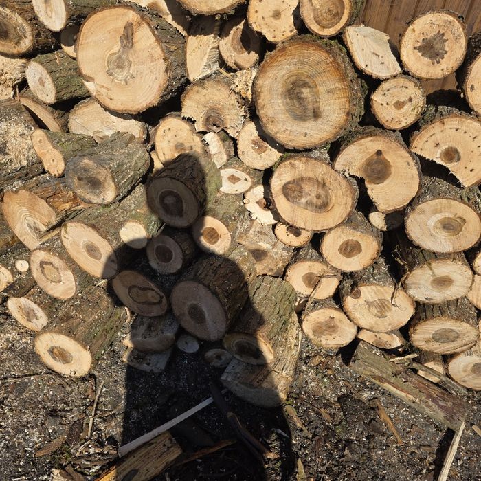 Witam sprzedam drewno opałowe